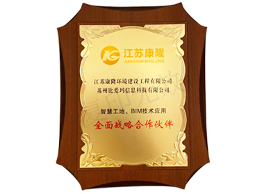 全面戰(zhàn)略合作伙伴